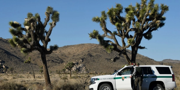 Trump mandara a Guardaparques a la frontera para patrullar y arrestar a los migrantes